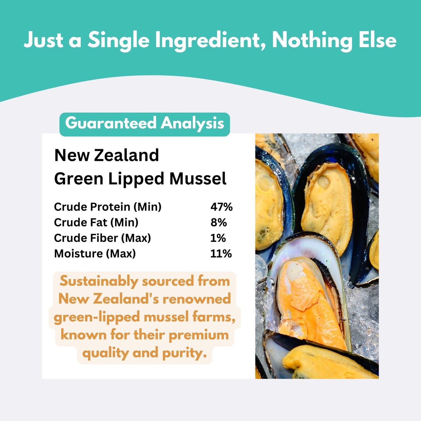 ALFIE'S TREATOS - New Zealand Green Lipped Mussel Dog Treats