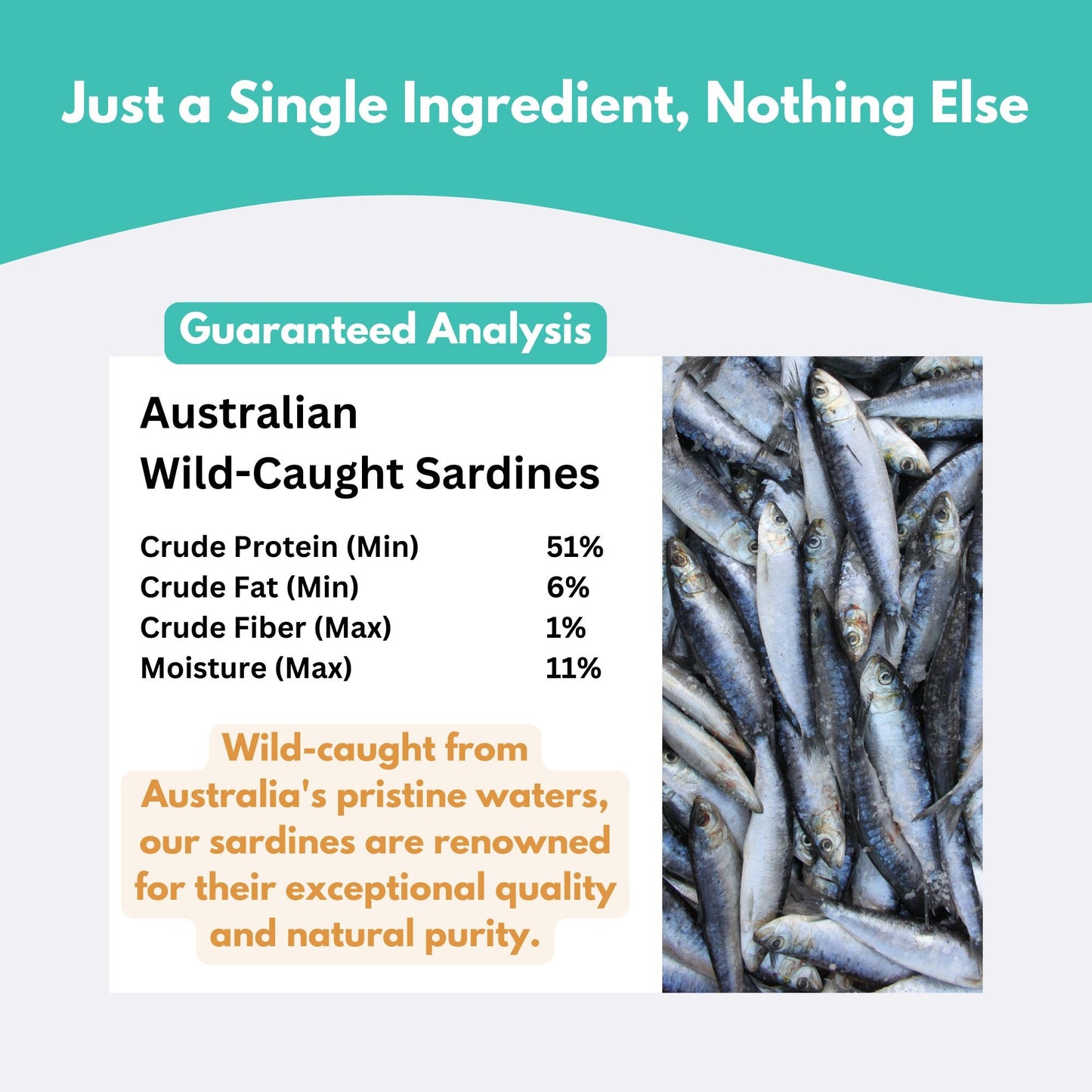 ALFIE'S TREATOS - Australian Wild-Caught Sardines