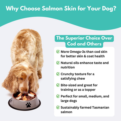 ALFIE'S TREATOS - Australian Salmon Skin Dog Treats